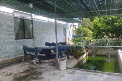 Cho thuê nhà nguyên căn rộng 253m2, ngay trung tâm xã Hàm Ninh, giá thuê 10 triệu tháng.